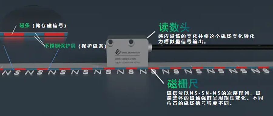 磁柵尺可以配幾個讀數(shù)頭？